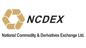 National Commodity & Derivatives Exchange (NCDEX) Limited logo