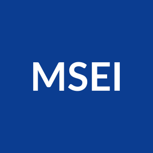 Metropolitan Stock Exchange (MSEI) logo